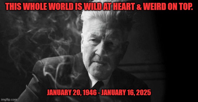 RIP DAVID LYNCH | THIS WHOLE WORLD IS WILD AT HEART & WEIRD ON TOP. JANUARY 20, 1946 - JANUARY 16, 2025 | image tagged in david lynch | made w/ Imgflip meme maker