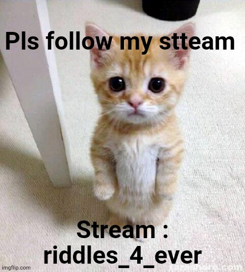 Riddles_4_ever | Pls follow my stteam; Stream : riddles_4_ever | image tagged in memes,cute cat | made w/ Imgflip meme maker