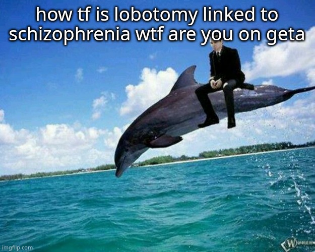 What the hell | how tf is lobotomy linked to schizophrenia wtf are you on geta | image tagged in what the hell | made w/ Imgflip meme maker