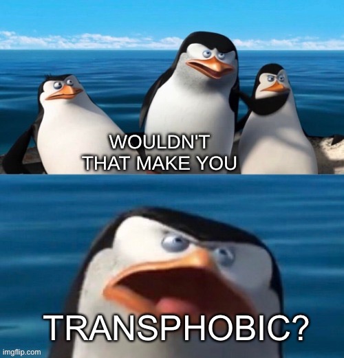 Wouldn't that make you blank | TRANSPHOBIC? | image tagged in wouldn't that make you blank | made w/ Imgflip meme maker