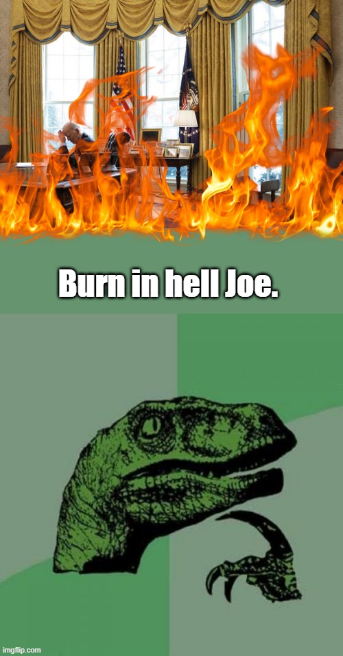 You betrayed your country and the American Citizen. | Burn in hell Joe. | image tagged in memes,philosoraptor | made w/ Imgflip meme maker