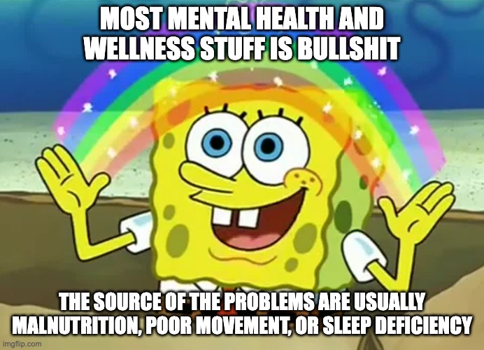 Mental health BS | MOST MENTAL HEALTH AND WELLNESS STUFF IS BULLSHIT; THE SOURCE OF THE PROBLEMS ARE USUALLY MALNUTRITION, POOR MOVEMENT, OR SLEEP DEFICIENCY | image tagged in spongebob the more you know | made w/ Imgflip meme maker