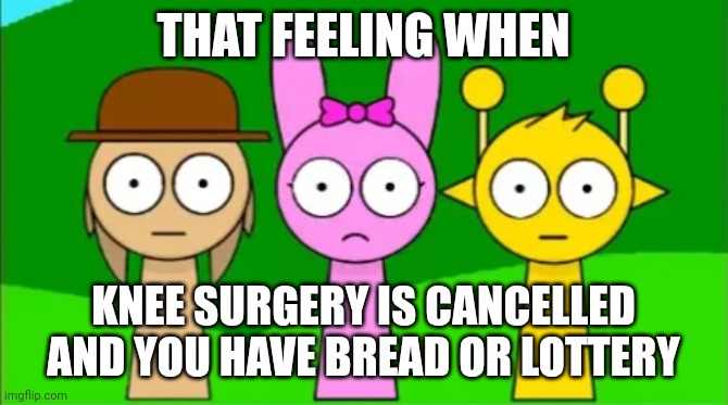 Tunner, Pinki, and Simon staring at you | THAT FEELING WHEN; KNEE SURGERY IS CANCELLED AND YOU HAVE BREAD OR LOTTERY | image tagged in tunner pinki and simon staring at you | made w/ Imgflip meme maker