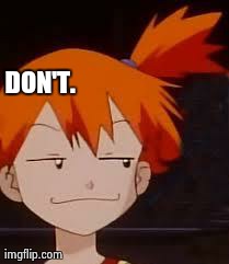 Derp Face Misty | DON'T. | image tagged in derp face misty | made w/ Imgflip meme maker