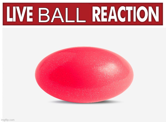 Live reaction | BALL | image tagged in live reaction | made w/ Imgflip meme maker