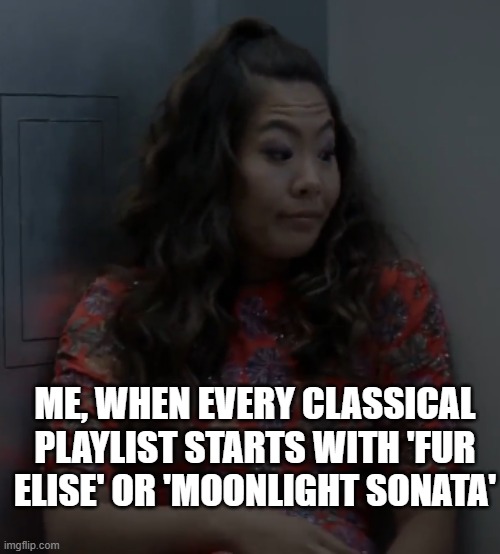 fur elise | ME, WHEN EVERY CLASSICAL PLAYLIST STARTS WITH 'FUR ELISE' OR 'MOONLIGHT SONATA' | image tagged in music,classical music,fur elise,moonlight sonata | made w/ Imgflip meme maker