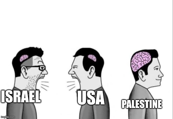 2 dumbass arguing while a smartass is ignoring them | ISRAEL; USA; PALESTINE | image tagged in 2 dumbass arguing while a smartass is ignoring them | made w/ Imgflip meme maker