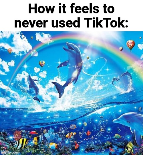 Symphony Meme | How it feels to never used TikTok: | image tagged in symphony meme | made w/ Imgflip meme maker