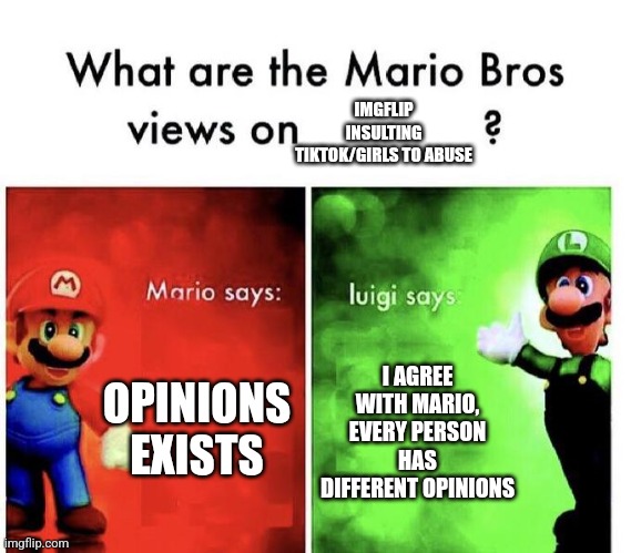 Mario Bros Views | IMGFLIP INSULTING TIKTOK/GIRLS TO ABUSE; OPINIONS EXISTS; I AGREE WITH MARIO, EVERY PERSON HAS DIFFERENT OPINIONS | image tagged in mario bros views | made w/ Imgflip meme maker