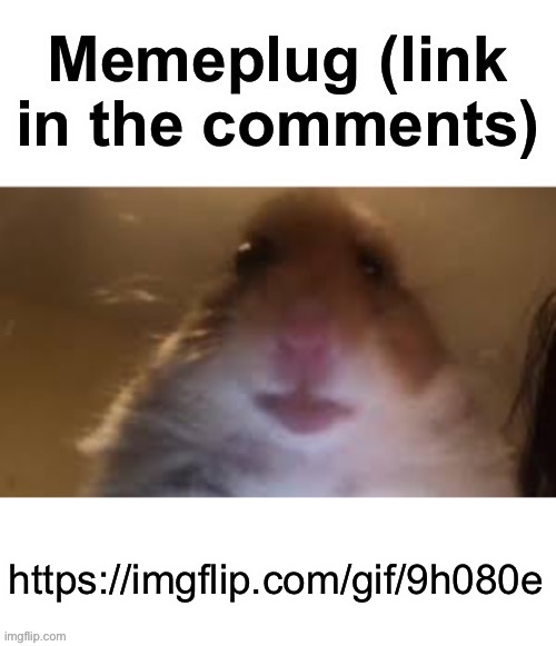 Memeplug | https://imgflip.com/gif/9h080e | image tagged in memeplug | made w/ Imgflip meme maker