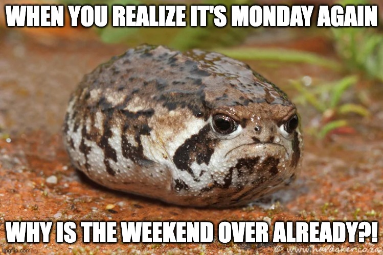 ai lol; it made a facebook mom ass meme. whyyyyyy | WHEN YOU REALIZE IT'S MONDAY AGAIN; WHY IS THE WEEKEND OVER ALREADY?! | image tagged in angry toad with no legs,memes,facebook,facebook mom,cringe,ai | made w/ Imgflip meme maker