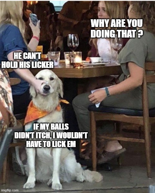 Lady holding dog mouth closed | WHY ARE YOU DOING THAT ? HE CAN'T HOLD HIS LICKER; IF MY BALLS DIDN'T ITCH, I WOULDN'T HAVE TO LICK EM | image tagged in lady holding dog mouth closed | made w/ Imgflip meme maker