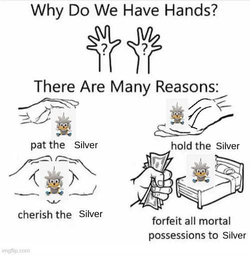 We all love Silver The Hedgehog | Silver; Silver; Silver; Silver | image tagged in why do we have hands all blank | made w/ Imgflip meme maker