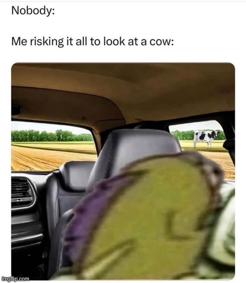 C o w | made w/ Imgflip meme maker