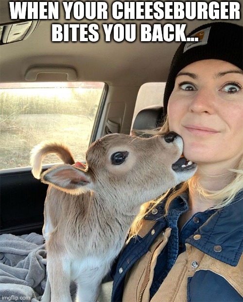 When Your Cheeseburger Bites You Back... | WHEN YOUR CHEESEBURGER BITES YOU BACK... | image tagged in chris joines | made w/ Imgflip meme maker