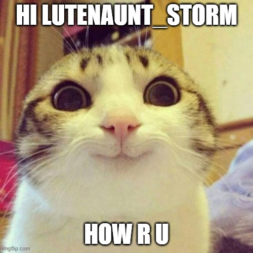 good | HI LUTENAUNT_STORM; HOW R U | image tagged in memes,smiling cat | made w/ Imgflip meme maker