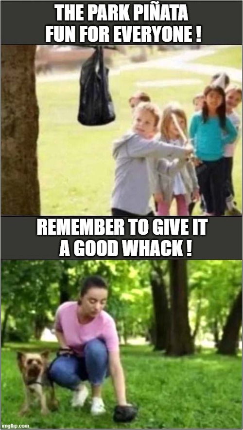 Why Is There One In Every Tree ? | THE PARK PIÑATA
 FUN FOR EVERYONE ! REMEMBER TO GIVE IT 
 A GOOD WHACK ! | image tagged in park,pinata,dog poop,dark humour | made w/ Imgflip meme maker