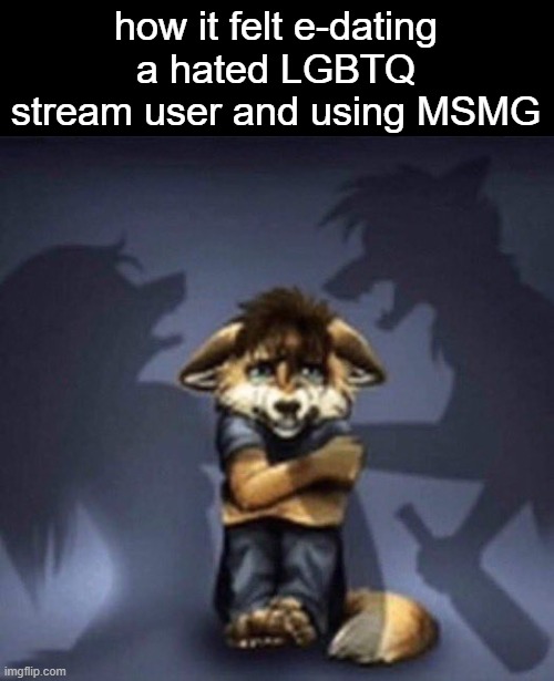 Furry parents fighting | how it felt e-dating a hated LGBTQ stream user and using MSMG | image tagged in furry parents fighting | made w/ Imgflip meme maker