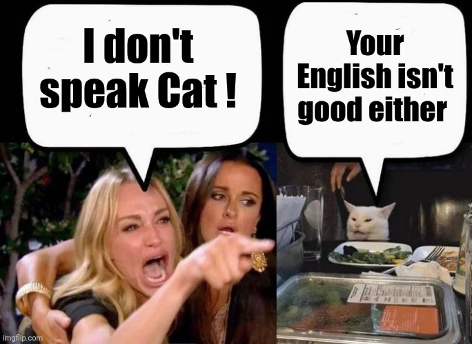 Don't eat the Cat | I don't speak Cat ! Your English isn't good either | image tagged in don't eat the cat | made w/ Imgflip meme maker