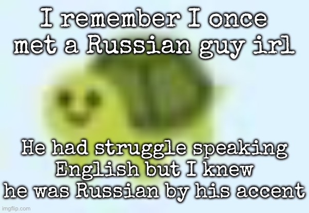 low quality turtle | I remember I once met a Russian guy irl; He had struggle speaking English but I knew he was Russian by his accent | image tagged in low quality turtle,msmg | made w/ Imgflip meme maker