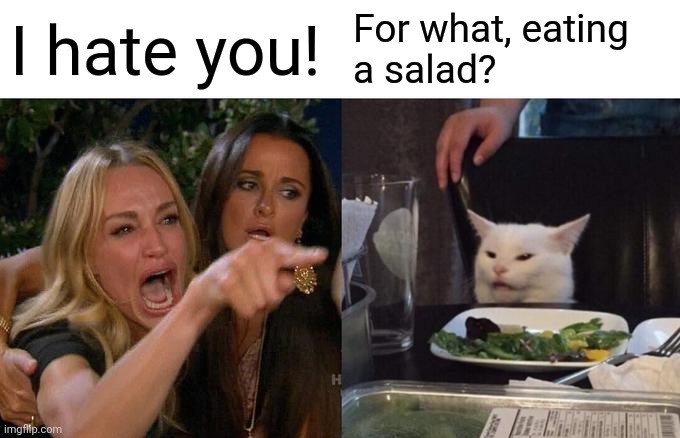 My friend made this | I hate you! For what, eating
a salad? | image tagged in memes,woman yelling at cat | made w/ Imgflip meme maker