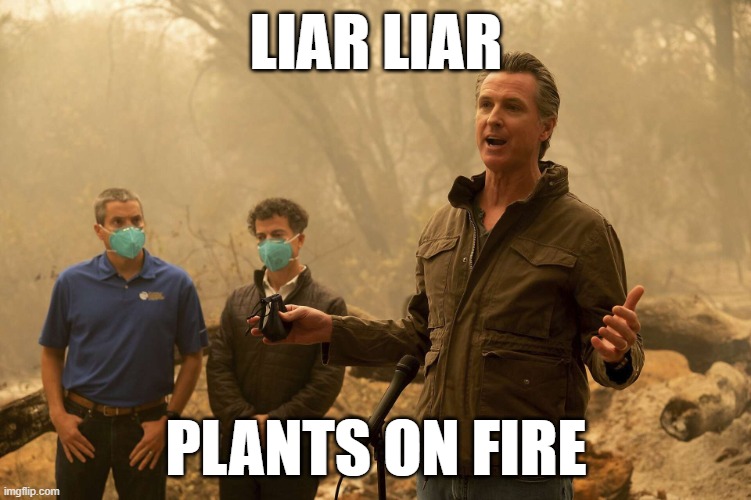 Gavin Newsome Fire press conference | LIAR LIAR; PLANTS ON FIRE | image tagged in gavin newsome fire press conference | made w/ Imgflip meme maker