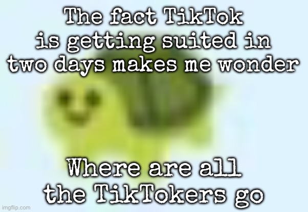 Hopefully doesn’t happen same shit as vine | The fact TikTok is getting suited in two days makes me wonder; Where are all the TikTokers go | image tagged in low quality turtle,msmg | made w/ Imgflip meme maker