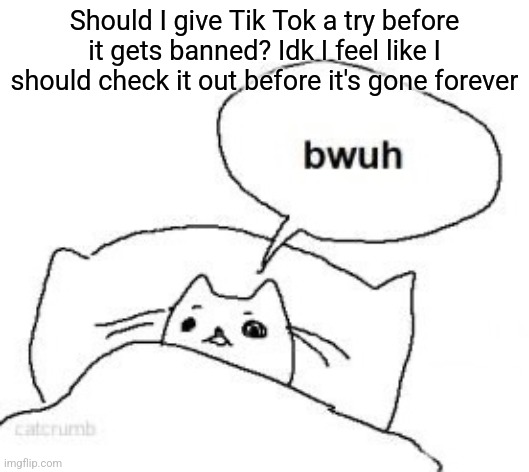 It's basically YouTube shorts right? | Should I give Tik Tok a try before it gets banned? Idk I feel like I should check it out before it's gone forever | image tagged in bwuh | made w/ Imgflip meme maker