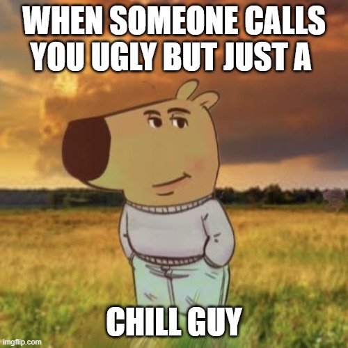 Chill guy | WHEN SOMEONE CALLS YOU UGLY BUT JUST A; CHILL GUY | image tagged in chill guy | made w/ Imgflip meme maker