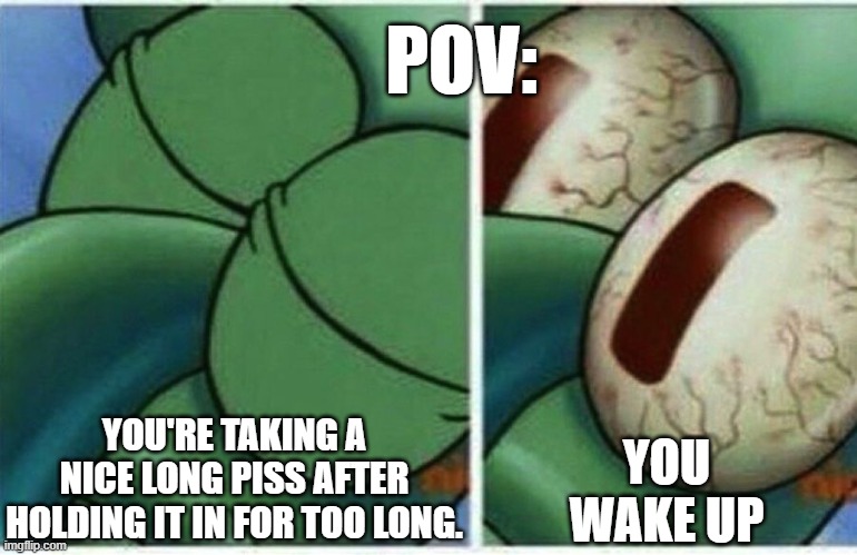 Squidward | POV:; YOU'RE TAKING A NICE LONG PISS AFTER HOLDING IT IN FOR TOO LONG. YOU WAKE UP | image tagged in squidward | made w/ Imgflip meme maker