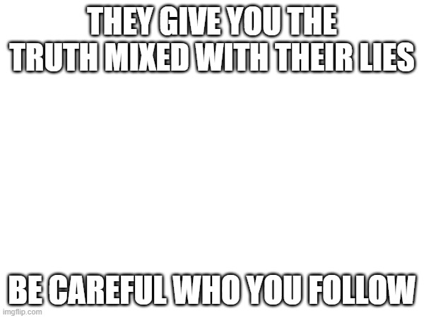 THEY GIVE YOU THE TRUTH MIXED WITH THEIR LIES; BE CAREFUL WHO YOU FOLLOW | image tagged in truth | made w/ Imgflip meme maker