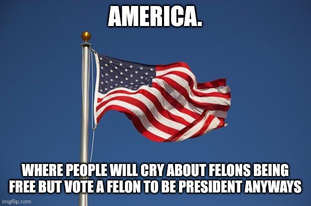 Making fun of American Hypocrisy | AMERICA. WHERE PEOPLE WILL CRY ABOUT FELONS BEING FREE BUT VOTE A FELON TO BE PRESIDENT ANYWAYS | image tagged in us flag | made w/ Imgflip meme maker