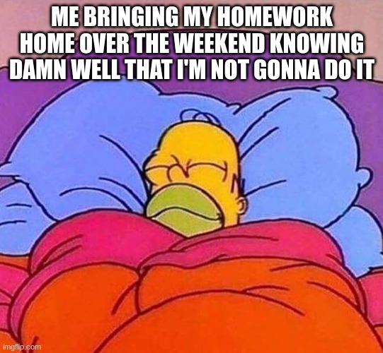 Real | ME BRINGING MY HOMEWORK HOME OVER THE WEEKEND KNOWING DAMN WELL THAT I'M NOT GONNA DO IT | image tagged in homer simpson sleeping peacefully | made w/ Imgflip meme maker