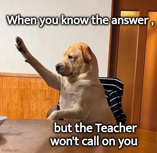 "Ooh , ooh , ooh" | When you know the answer , but the Teacher won't call on you | image tagged in smart dog,i got this,me me me,frustration,no please you don't understand | made w/ Imgflip meme maker