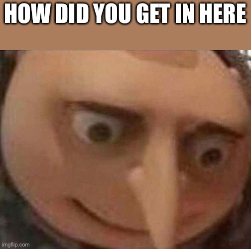 gru meme | HOW DID YOU GET IN HERE | image tagged in gru meme | made w/ Imgflip meme maker