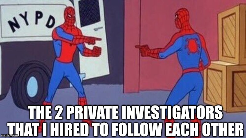 the 2 private investigators that I hired to follow each other | THE 2 PRIVATE INVESTIGATORS THAT I HIRED TO FOLLOW EACH OTHER | image tagged in spiderman pointing at spiderman | made w/ Imgflip meme maker