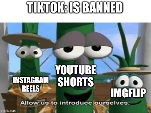 I guess imgflip counts | TIKTOK: IS BANNED; YOUTUBE SHORTS; INSTAGRAM REELS; IMGFLIP | image tagged in allow us to introduce ourselves,tiktok,banned,instagram,youtube shorts,imgflip | made w/ Imgflip meme maker