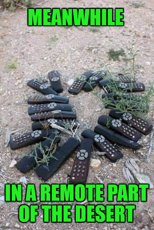 So remote | MEANWHILE; IN A REMOTE PART
OF THE DESERT | image tagged in eyeroll | made w/ Imgflip meme maker