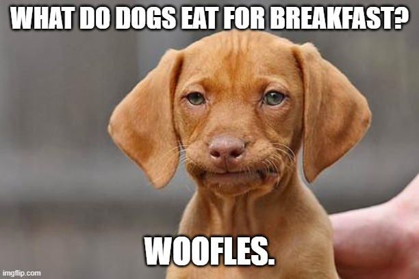 Dissapointed puppy | WHAT DO DOGS EAT FOR BREAKFAST? WOOFLES. | image tagged in dissapointed puppy | made w/ Imgflip meme maker