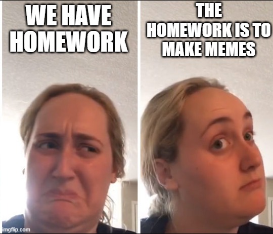 Kombucha Girl | THE HOMEWORK IS TO MAKE MEMES; WE HAVE HOMEWORK | image tagged in kombucha girl | made w/ Imgflip meme maker