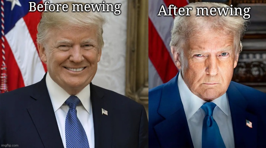 Before mewing; After mewing | made w/ Imgflip meme maker