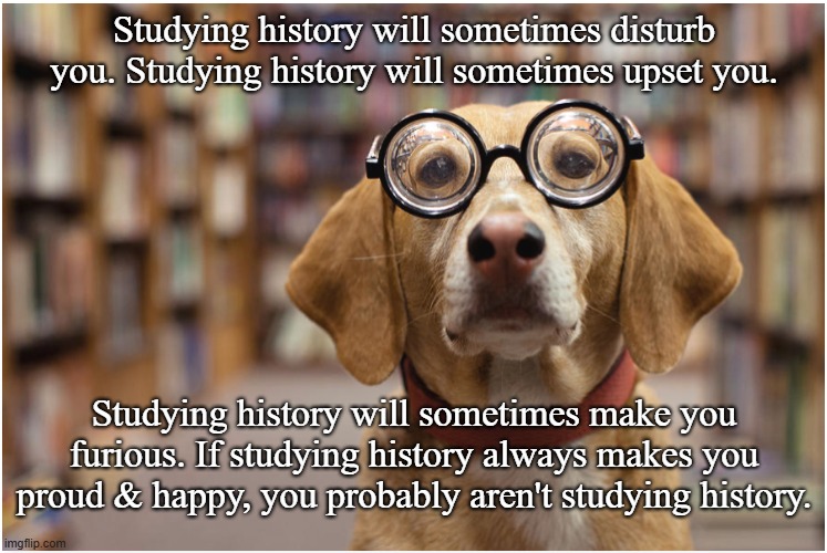 Studying history | Studying history will sometimes disturb you. Studying history will sometimes upset you. Studying history will sometimes make you furious. If studying history always makes you proud & happy, you probably aren't studying history. | image tagged in dogs | made w/ Imgflip meme maker