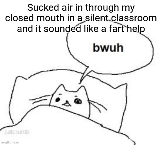 Bwuh | Sucked air in through my closed mouth in a silent classroom and it sounded like a fart help | image tagged in bwuh | made w/ Imgflip meme maker