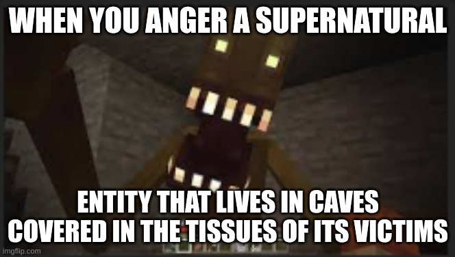 Sorry, had to vent | WHEN YOU ANGER A SUPERNATURAL; ENTITY THAT LIVES IN CAVES COVERED IN THE TISSUES OF ITS VICTIMS | image tagged in cave | made w/ Imgflip meme maker