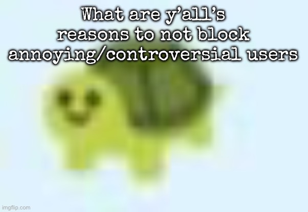 low quality turtle | What are y’all’s reasons to not block annoying/controversial users | image tagged in low quality turtle,msmg | made w/ Imgflip meme maker