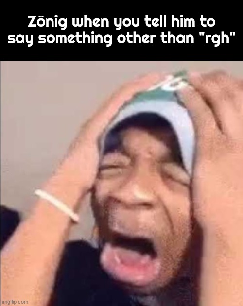 Flightreacts crying | Zönig when you tell him to say something other than "rgh" | image tagged in flightreacts crying | made w/ Imgflip meme maker