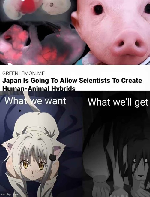 This ain’t it dawg | image tagged in hybrid,japan,fma | made w/ Imgflip meme maker