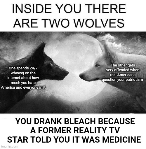 We don't question their patriotism; we deny that it even exists | The other gets very offended when real Americans question your patriotism; One spends 24/7 whining on the internet about how much you hate America and everyone in it; YOU DRANK BLEACH BECAUSE A FORMER REALITY TV STAR TOLD YOU IT WAS MEDICINE | image tagged in inside you there are two wolves,scumbag republicans,terrorists,trailer trash,conservative hypocrisy | made w/ Imgflip meme maker