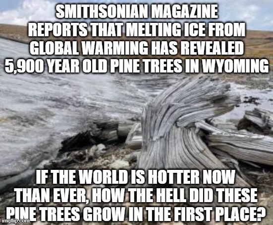 climate fantasy | SMITHSONIAN MAGAZINE REPORTS THAT MELTING ICE FROM GLOBAL WARMING HAS REVEALED 5,900 YEAR OLD PINE TREES IN WYOMING; IF THE WORLD IS HOTTER NOW THAN EVER, HOW THE HELL DID THESE PINE TREES GROW IN THE FIRST PLACE? | image tagged in global warming | made w/ Imgflip meme maker