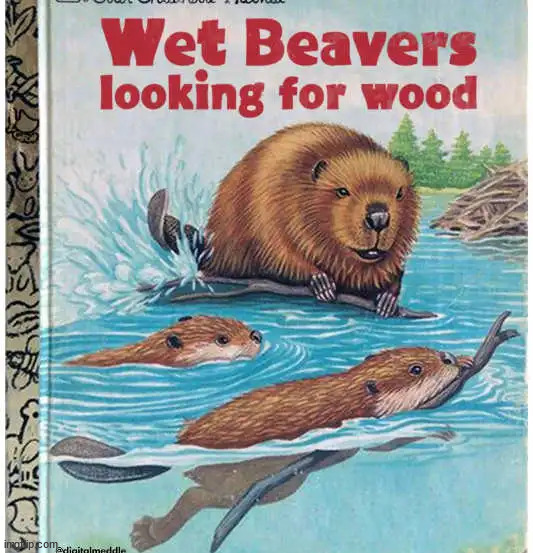It's a children's book... right? | image tagged in memes,childrens book about beavers | made w/ Imgflip meme maker